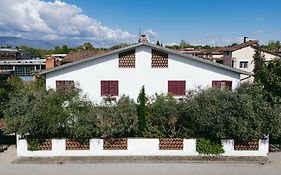 Enzo'S House